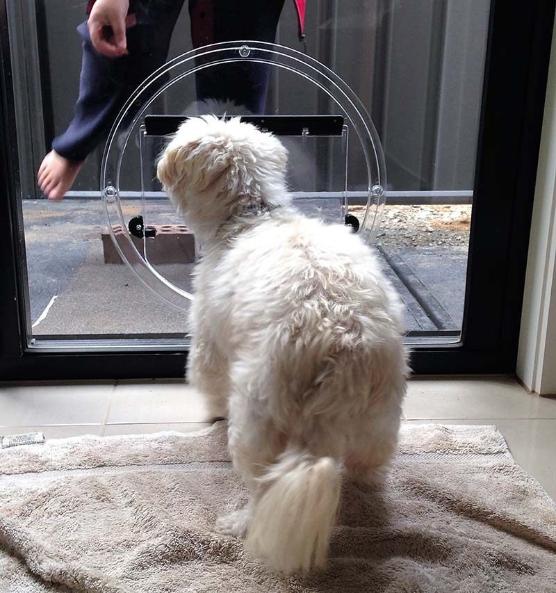 Circular Transcat pet door installed in a glass sliding door